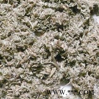 茵陈 绵茵陈选段 产地 江西省图2