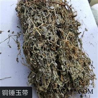 瑞森药材行铜锤玉带草 地茄子草 翳子草 地浮萍 扣子草 马莲草 铜锤草 红头带 土油甘 白路桥 三脚丁图2