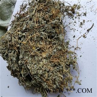 瑞森药材行铜锤玉带草 地茄子草 翳子草 地浮萍 扣子草 马莲草 铜锤草 红头带 土油甘 白路桥 三脚丁图3