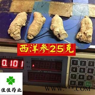 西洋参 西洋参个 短支选装大支25g 软质 供应各种中药材 冷背货 名贵药材 产地 吉林省图4