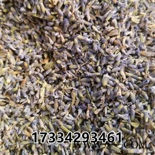 薰衣草 香水植物 灵香草 香草 黄香草 拉文德图3