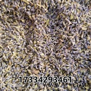 薰衣草 香水植物 灵香草 香草 黄香草 拉文德图2