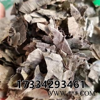 矮地茶 别称-不出林 平地木图3