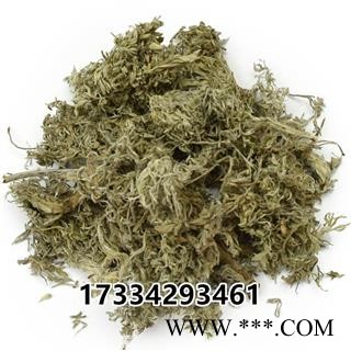 绵茵陈  新鲜白蒿 草茵陈 五苓散 中草药材图4