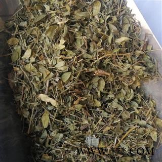 瑞森药材行瓜子金 辰砂草 金锁匙 瓜子草 挂米草 高脚瓜子草 产后草 瓜子金统货 产地 云南省图3