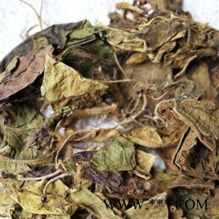 圣草康园中药材杏香兔耳风 产地福建7天无理由退货图2