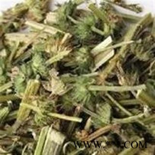 圣草康园中药材益母草 、坤草、茺蔚、地母草 益母蒿 益母艾 坤草 红花艾图2