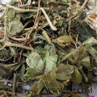 圣草康园路边青 狗肝菜、金龙棒、猪肝菜、路边青、羊肝菜图2