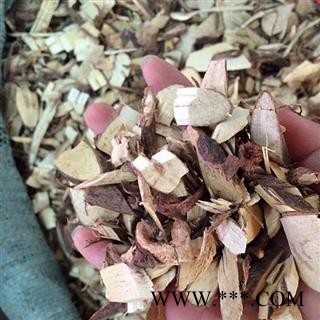 圣草康园胡枝子根 把天门 把守天门 美丽胡枝子 三妹木图2