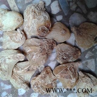 扁白芨 统个 产地 云南省图2