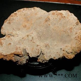 灵芝 斑褐孔菌 野生斑褐孔菌 瑞芝堂产地直销1000克图3