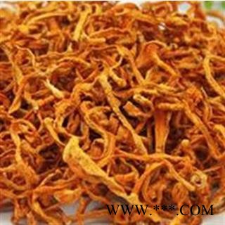 金虫草 金虫草 冬虫夏草花 产地 青海省图2