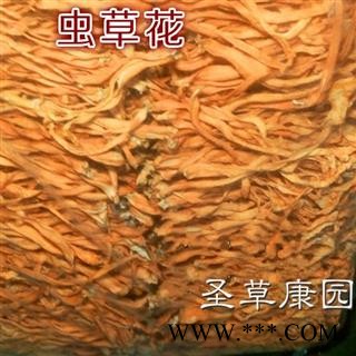 圣草康园金虫草 正品 正宗排草 无夹心 金虫草花 北冬虫草 天然菌类 特级 批发专营图2