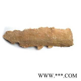 圣草康园白耙齿菌长白山白耙齿菌白耙齿菌图2