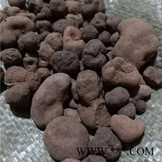 诺源药材行中药材正品雷丸 雷实 竹林子图2