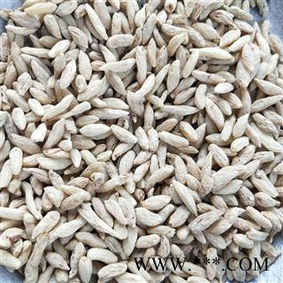 麦冬个 川麦冬精选一级 产地 四川省绵阳市图3