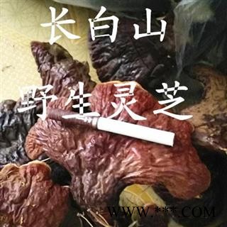 灵芝 长白山野生灵芝中号 产地 吉林省白山市抚松县图2