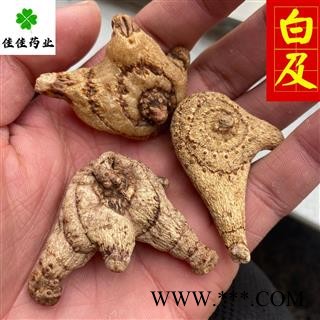 白及大统个 纯干货 三叉白及正品 白芨 供应各种营造出 产地 云南省图4