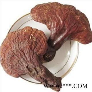 木灵芝 统 产地 吉林省白山市抚松县，产地直供，假一赔十图4