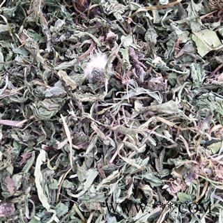 产地直销新货蒲公英选货，野生公英颜色青过筛过的干净无杂质，实物拍摄性价比高图4