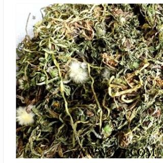 产地直销新货蒲公英选货，野生公英颜色青过筛过的干净无杂质，实物拍摄性价比高图2