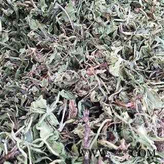 产地直销新货蒲公英选货，野生公英颜色青过筛过的干净无杂质，实物拍摄性价比高图3