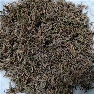 鹅不食草 鹅不食草统段 产地 广西壮族自治区图2