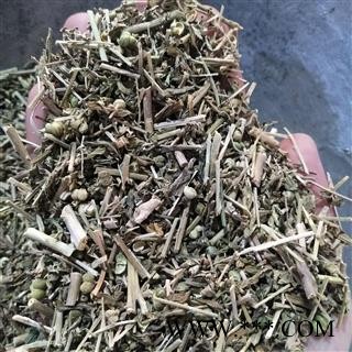 透骨草 凤仙透骨草统段 产地 山东省图4