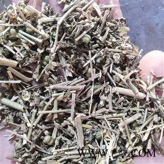 透骨草 凤仙透骨草统段 产地 山东省图2