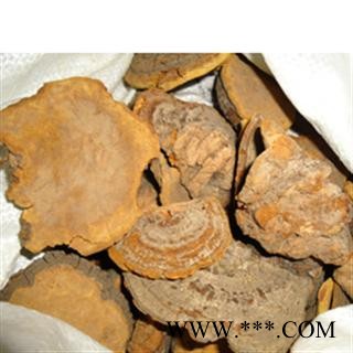 槐耳 槐蛾,槐耳,槐菌 山东 正品 药用 低价 批发统 产地 山东省威海市市辖区图2