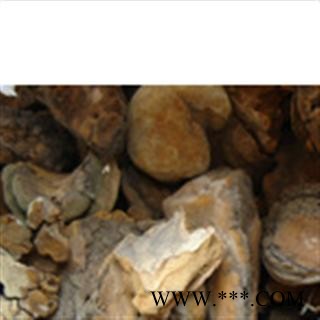 槐耳 槐蛾,槐耳,槐菌 山东 正品 药用 低价 批发统 产地 山东省威海市市辖区图3