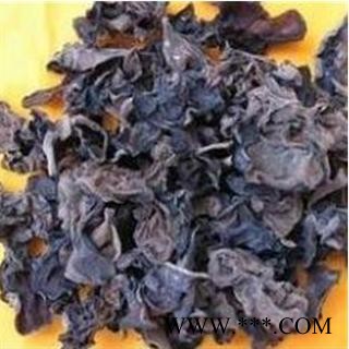 石花 乳花 地衣统 产地 河南省濮阳市市辖区图3