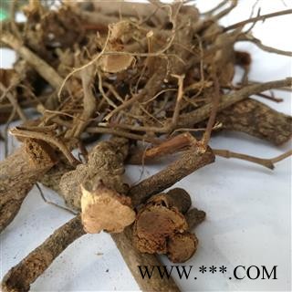 瑞森药材行 中药材 大红袍 大和红 锈钉子 油根 扁皂图2