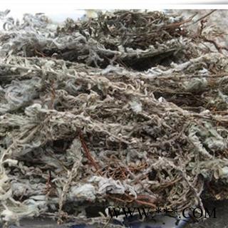 鹿茸草 六月霜 千年艾 千重塔白龙骨白地蜈蚣产地直销实物拍照重在品质瑞森药材行图2