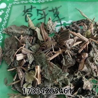 中药材苍耳草 苍耳草 苔耳 老苍子 卷毛子 切才尔图2
