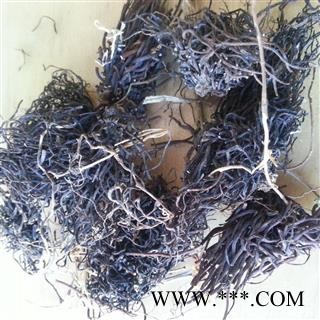 圣草康园福寿草 献岁菊 冰凉花长春菊,岁菊,冰里花,顶冰花,冰凉花,雪莲花,冰郎花图1