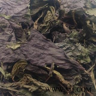 圣草康园新货紫苏叶 新货图2