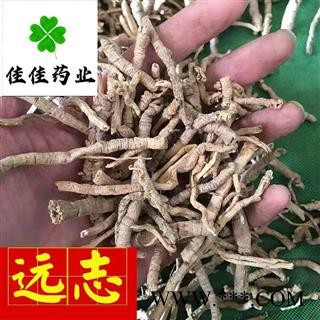 远志 抽芯率90%以上 远志肉 无硫货 一分价一分货 产地 山西省图3
