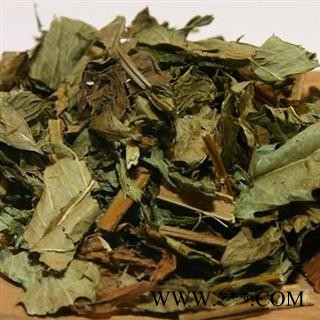 圣草康园泽兰 地瓜苗 地笋 甘露子 方梗泽兰图2