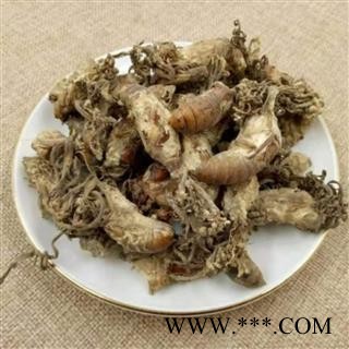 蝉花 金蝉花统货 产地 山东省图3