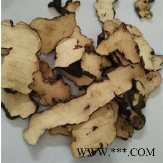 猪苓 猪屎苓统片 产地 陕西省图1