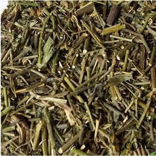 圣草康园响铃草 假花生 农吉利 马响铃图2