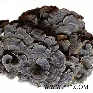 灵芝 云芝 中药材入药瑞芝堂产地直销1000克 规格齐全 一站购齐图4