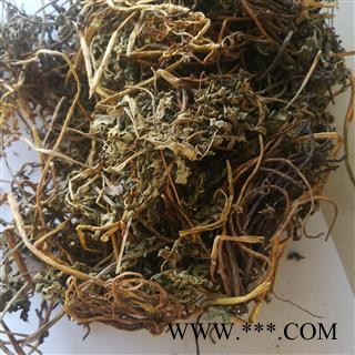 九盛堂中药材一朵云 小春花 阴地蕨图3