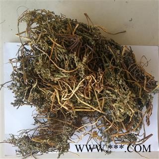 九盛堂中药材一朵云 小春花 阴地蕨图1