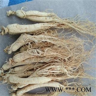 人参 60支生晒参 产地 吉林省图2