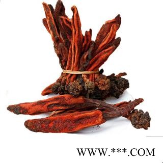 回春草 顶天柱 草丛蓉不老草云南泡水煲汤泡酒料图4