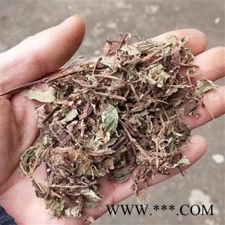 九盛堂中药材 石莽草 中药材  头花蓼 干货石莽草 石辣蓼小红 太阳草图3