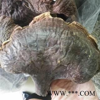 诺源中药材优质东北野生灵芝 纯天然林下灵芝图3