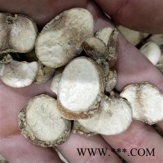 贝母片1000克促销批发 无硫浙贝 产地 浙江省图2